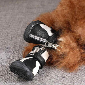 pC ^p H~ I[V[Y PUU[ ی ~ h ۉ  N ybgu[c CV[Y 4Zbg