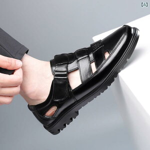 T_ Y jp {v rWlX JWA Xb| NbV _炩ȗSn ~ ʋC ɂ ܐی o[\[ ig t