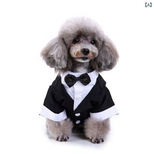 ybgEFA L  am ^LV[h tH[}X[c 畞  p[eB[ nEB NX}X Cxg ߑ H~ |GXe ubN XgCv p  킢