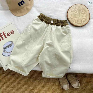 xr[AE^[ j̎q XgCv {[_[ t[htJ[fBK  V[g H~ |GXe JWA  ig ؍