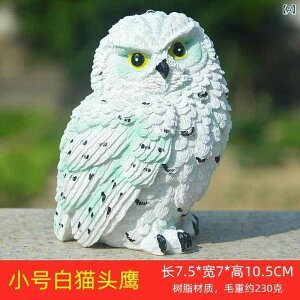 u tNE  W  Aj}`[t K[fI[ig IuWF O     q  fBXvC Jg[fUC 킢 ӂӂ zCg 