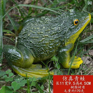 | IuWF A JG  u   K[f ~ Aؔ fR[V DIY fUC Ntg tBMA R 킢 