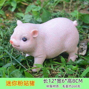 ~j`A u A q Ԃ sbO IuWF  tBMA 킢 c p p sN ԕ ubN ~͏ K[f eE CeA fR[V