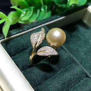 w p DIY ANZT[ p[c  S[hv[g WRjA H i GKg ^ [t t p[fUC g nhCh ig