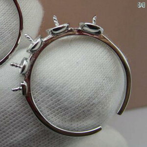 w fB[X S925 v`ibL p[ I[vO ߉\ Vv JWA ig  lw ؃fUC 茳ANZT[