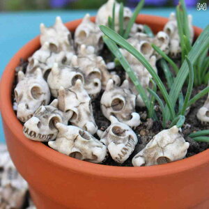 K[fIuWF XJ`[t W `[t O   A v^[ A  fR[V CeA u i`