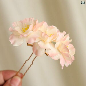  fB[X Õ   p[ p[ t[`[t wAANZT[   l a Cxg ؂₩ 