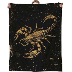 uPbg ѕz  l qp |GXe tl 炩 y I[V[Y \t@ rO Q xbh[ CeA Ђ| ʔN _ Vv