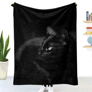 uPbg L 3Dvg tl  񖇍킹 \t@Jo[ \t@p  ~p |GXe100% Vv_ d }`J[(x2)