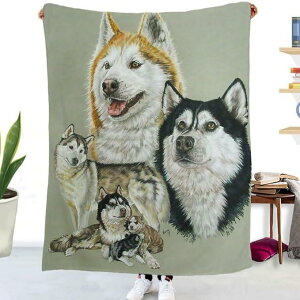 uPbg _炩tl 3DfUC |GXe \t@Jo[ rO ybg hbOp g Sn悢G I[V[Y _ Vv