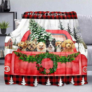 uPbg NX}X  ԂgbN [ NX}Xc[ bhobt@[`FbN tl ѕz Ђ| |GXe  킢 ʔN CeA \t@Jo