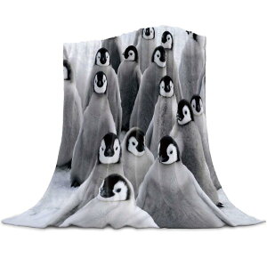 ѕz yM 킢 LN^[ Aj} y tl |GXe ӂӂ _炩 Gǂ \t@ uPbg Ђ| ItBX Ԓ rO xbh 