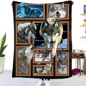 uPbg ѕz ʃtl }CNt@Co[ Aj}  [΍ gxp sp Ђ| \t@Jo[ |ѕz ItBX ԓ ӂӂ 炩 y y t(x2)