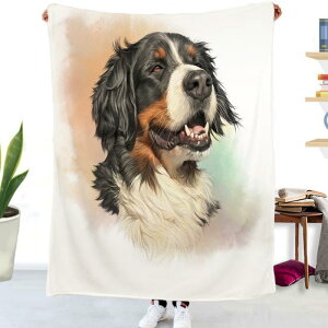 uPbg ybgp p 3D fW^vg  tl }CNt@Co[ [΍ Qp Ђ| \t@Jo[ s @ t 唻 FWJ(x2)