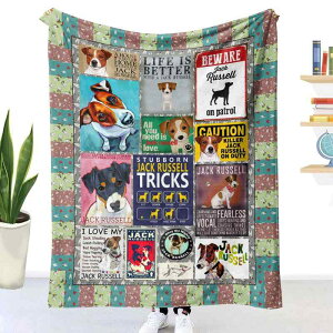 ѕz tl uPbg  hbOfUC  񖇍킹 3Dvg fW^ |GXe ӂӂ g  ~p rO Q \t@Jo[(x2)