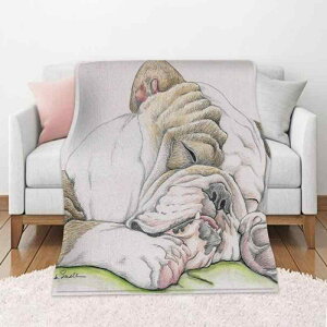 uPbg XgCv ȃfUC ѕz \t@Jo[ \t@X[ Ђ| fW^vg  tl  ۉ |GXe [΍ lGʗp _ Vv