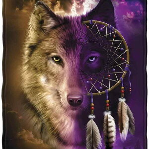 ѕz Et h[Lb`[ 3Dvg Ƃ낯锧G \tg }CNt@Co[ JV~^b` uPbg H~ rO Q  k