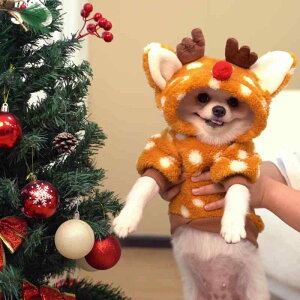  NX}X giJC RXv ϐg c[bO H~ N  h 킢 ^ ^ t`uhbO hbOEFA U Cxg