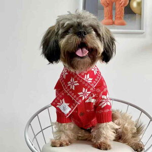 ybgEFA p Lp H~ NX}X Z[^[ }t[ Zbg 킢 h jbgf bh m ^ ^ rVt[[ gCv[h