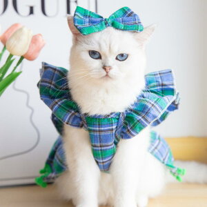 ybg NX}X L p hX s[X ϐgEFA  RX`[ 킢 Cxg ~   `FbN xxbg `[XJ[g FWJ(x2)