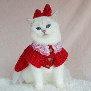 Lp  bh ԐF i GKg [X hX `[XJ[g s[X `FbN NX}X p[eB[ tH[} ߑ ^ ^ H~ 킢(x2)