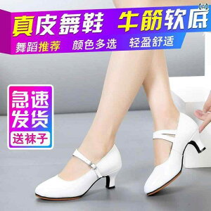 V[Y fB[X {v e_X Ќ_X _XV[Y p Kp bXp p[eB[p ~hq[ q[ q[ \tg\[ _炩 NbV 芴