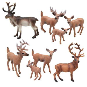 NX}X giJC VIWJ tBMA V~[V A ~j`Au fR[V P[Lgbp[  PVC  qp