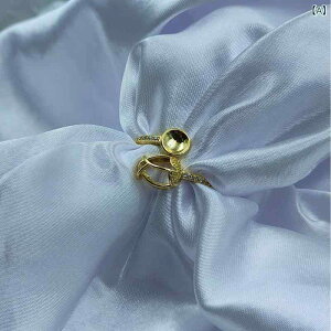 w p g AeB[N ^J WRjAߍ dC[h lw w t[TCYI[vO JWA ig I[v[N S[hJ[ 