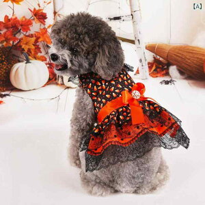 s[X ̎qp ^ Lp [X j[N nEB RX`[ H~ ybg h  킢 m hbOEFA LbgEFA |GXe ȑf