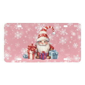 J[pi io[v[g K[[ NX}X T^N[X ̌ sN A~ čKi  킢