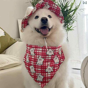 po_i ^ 匢 AXJ}~[g TGh 悾h~ 悾ꂩ X^C Op 킢  h U o hbOEFA