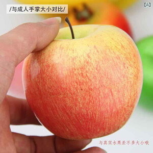 HiTv A t[c ʕ  Zbg vX`bN AX`[ mߋ ܂܂Ɨp fBXvC t Be CeA