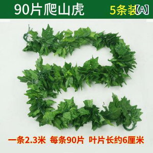 tFCNO[ ACr[ c^ [t K[h lHϗtA  vX`bN  V ǖʑ ډB A X ItBX  CeA