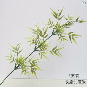  tFCNO[ vX`bN ^ A a |  |̗t 55cm CeA EFfBO Be u  ~͕