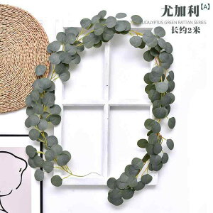  [J K[h A tFCNO[ [t  CeA EFfBO  Ǐ fBXvC Be z[fR[V i` 