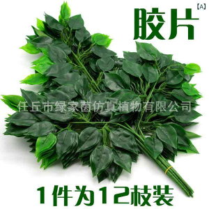 lHϗtA KW} ^ tFCNO[ R[eBO[t u` VNt[ 뉀 CeA Xܑ O Be fBXvC