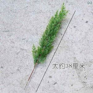 tFCNO[  jt t t R } AȐlHA vX`bN AщH ~  fBXvC 䏬 蕨 K[fjO IuWF