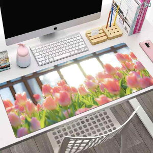 fXN}bg }EXpbh L[{[h}bg w ItBXp wK ׋ p  킢 CX^f  X^CbV ~ mXbv z