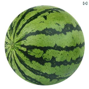 }EXpbh XgXg T|[g 킢 L 3D Q[~O ItBX fXN[N CX^  \tgNbV VRS ~ Jy F≊΍ K