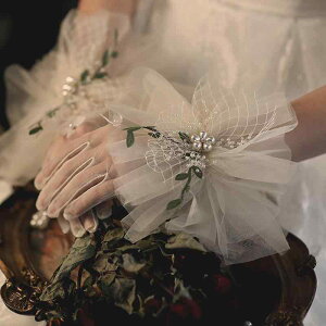  fB[X ؍ Jt VA[ I[KW[ O[u XK[ GKg p[  t[`[t EFfBO \ p[eB[ uC_tHg