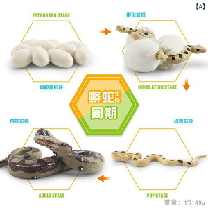 �t�B�M���A �͌^ �L�b�Y �q���p ���I ���A�� �쐶���� �j�V�L�w�r �����T�C�N�� �~�����}�[�j�V�L�w�r �}�_���j�V�L�w�r PVC�f�� �m�� �w�K �ώ@ �I�u�W�F �f�B�X�v���C