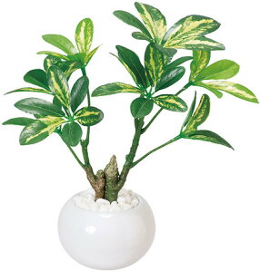 { G} H O[|bg ϗt ( tFCNt[   G}@JXj J@j  Ε AC h] i Mtg v[g j ̓ ̓)