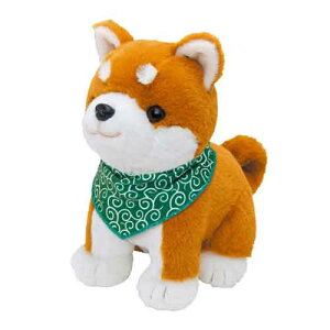 Fʂ ΂ʃRE^ o_itZbg (Ki [J[1Nۏؕt bl`  v[g ̓ ̓ hV̓ a ׂp[gi[ b  F