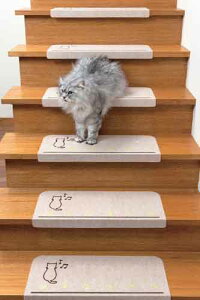 zKi}bg15g ܂Ȃt ({ ÈłŔ  Xebv}bg h  LYh~ ېOK)