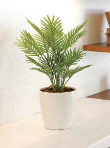 ̊y G}HA[g[t pL|bg tbVp[({ G} R h L lHA JXj  Ε AC h] i Mtg v[g j ̓ ̓)