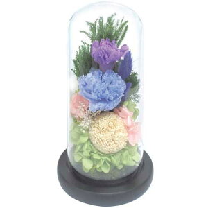 h[^vU[uh ({ ފ   ފ  ފ  @vU[uht[  KXh[ KXP[X)