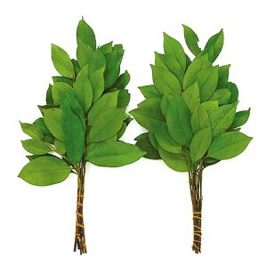 vU[uht[ ͂Ȃ (O d  @ ފ ~)