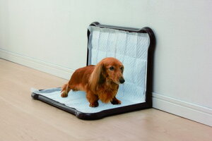 yybgpi@gC@qzV[c҂ƃg[@Ch@P-SPTW({  gC g[ ybggC g[jOybggCg[ gC ybggC gCg[ Ch 