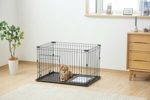 VXeT[Ng[t@P-STN-550 }bguEyybgpi@P[WET[N  T[N VXeT[Ng[t }bguE }bgzCg ACAubN T[N