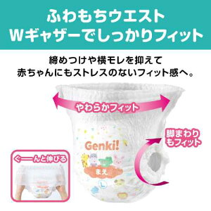 ���񂵂�@Genki�I�ӂ�����^�b�`�@Big��@24��×3��(GBP-BIGD24)�i���{�� �p���c �ӂ�����^�b�` ���ɗD���� ������ ���炳�� ���ނ� �����ނ� Genki �j
